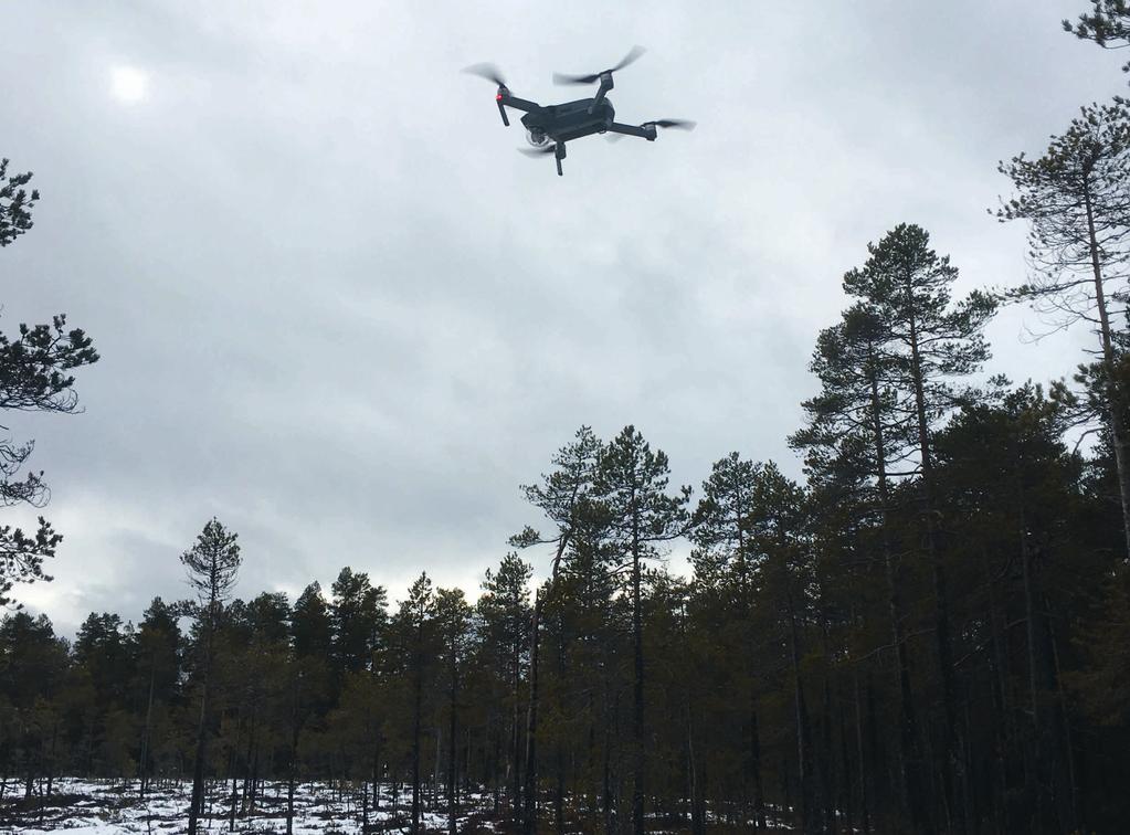 Unødig støy er forbode i verneområda. Dette femner m.a. om bruk av motordrivne modellfly og droner.