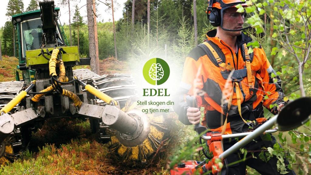 EDEL: Skogbehandlingsprogram Mål: Øke produksjonen