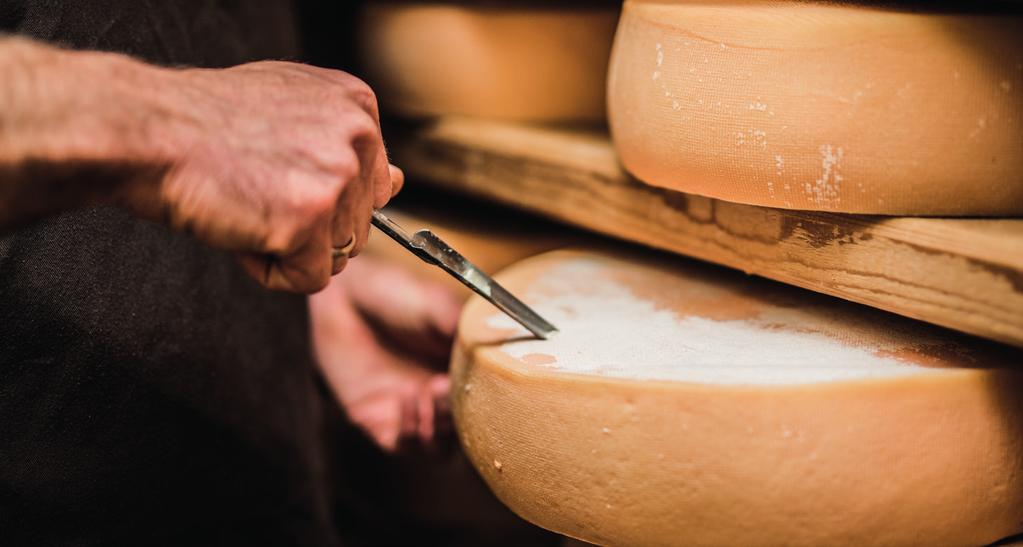 LIKE DELER Våre langtidslagrede oster er et resultat av TINEs 150 år lange erfaring. I TINEs ostebank lagres og pleies kanskje Norges fineste oster i minst 3 år, under optimale forhold.