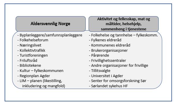 Gi tilbud om støtte og veiledning til utvikling, iverksetting og evaluering av lokalt planarbeid Invitere til læringsnettverk og erfaringsdeling mellom kommunene Det regionale støtteapparatet skal gi