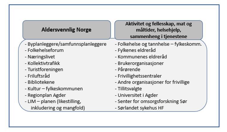 Det er de senere årene lagt fram flere meldinger og planer for å møte de store demografiske utfordringene samfunnet står overfor, blant annet primærhelsemeldingen, folkehelsemeldingen, Omsorg 2020,