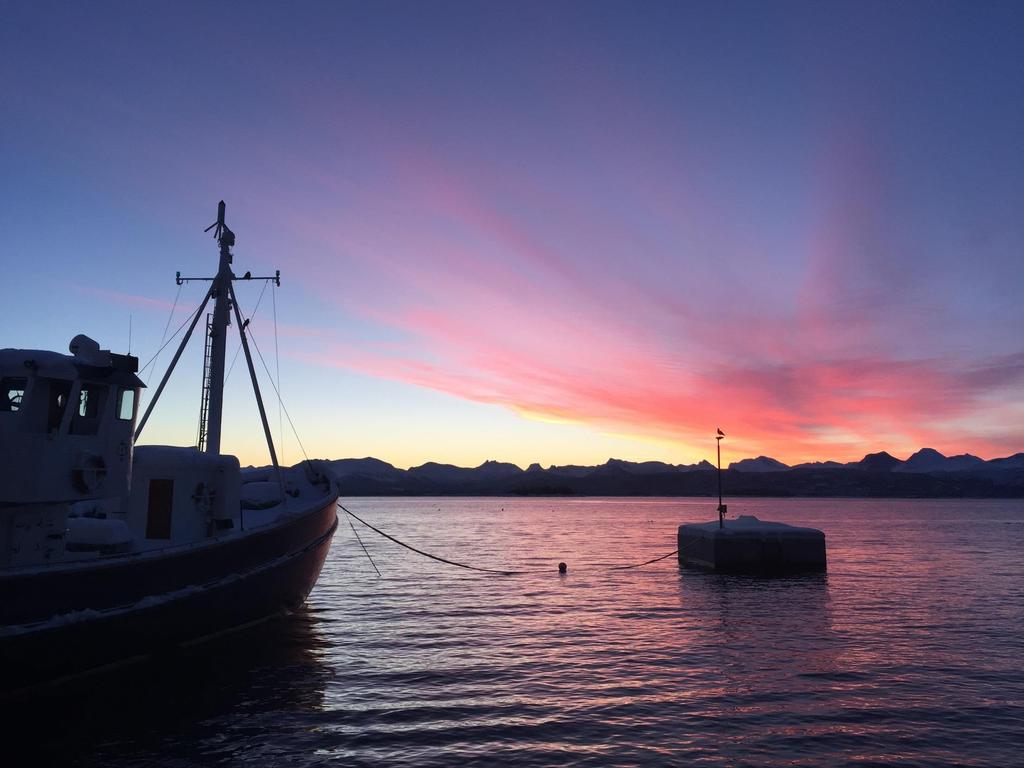 MOLDE OG ROMSDAL HAVN - En sentral havn i fiskeri og industrifylket Møre