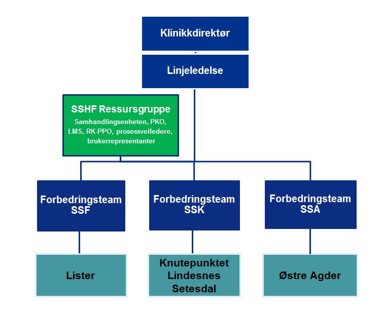 Hvordan 3 sykehus har arbeidet - som 1 foretak Forbedringsteamene Utfører forbedringsarbeidet i klinikkene 3-5 fagsykepleiere, inkl. en leder Samles fast x per mnd.