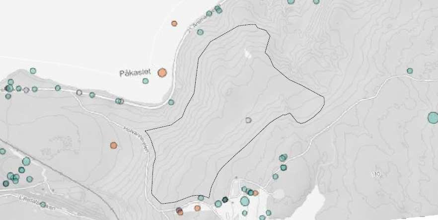 Figur 3. Registrerte arter. Kilde: artsdatabanken. Friluftsliv. Området har enkelte turveitraséer med middels til lav bruksfrekvens, men vurderes i all hovedsak til lav bruksfrekvens.