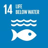 I Circular Cleanup har vi brukt disse målene som innovasjonsdrivere, med hovedfokus på mål 14 Liv under vann og 17 Samarbeid for å nå målene.