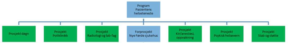 Dei underliggande prosjekta har hatt brei deltaking frå fagmiljøa i Helse Førde, og alle einingane i føretaket har vore involvert i utviklingsarbeidet.