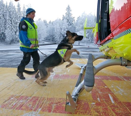 Krav om samarbeidsavtaler Krav om