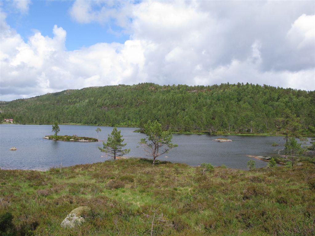 Bilder fra området Lundevatnet Lundevatnet sett fra