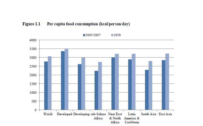FAO forventer at forbruket per capita