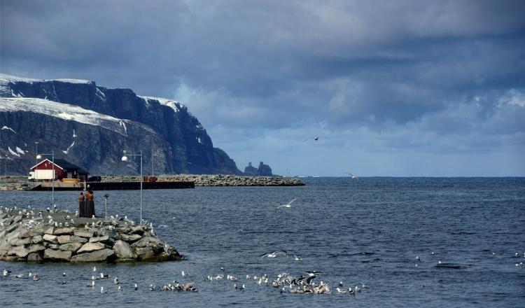 3.3 Kjemisk tilstand og grunnvann Foreløpig har vi lite data om kjemisk tilstand, og det er bare 7 vannforekomster i Laksefjorden og Nordkinnhalvøya som har fått registrert kjemisk tilstand.