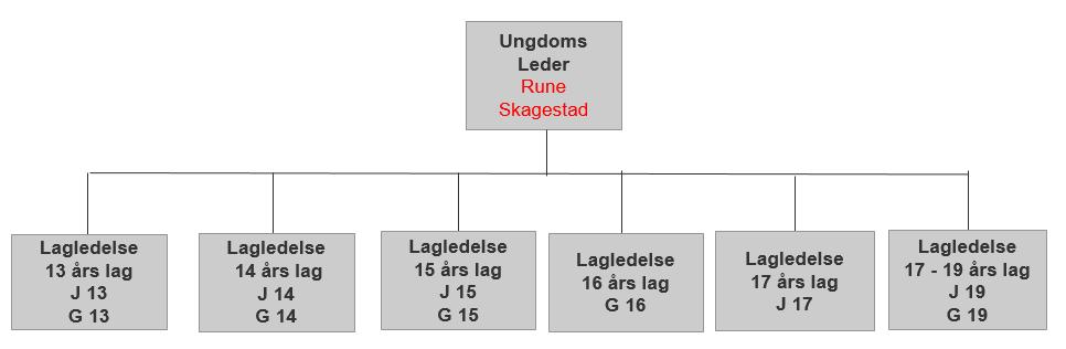 Planlegge og gjennomføre trinnmøter, se kapittel 9.