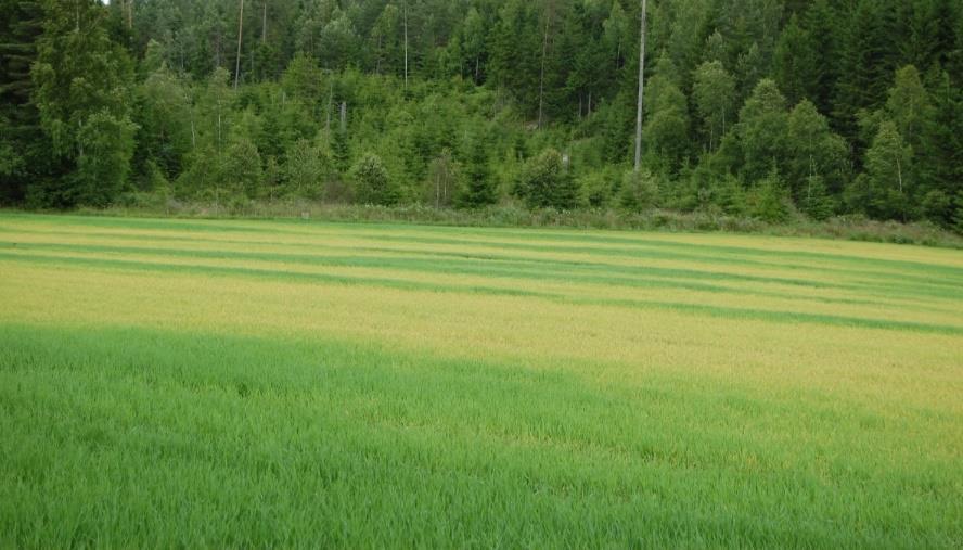 JORDPAKKING OG DRENERINGSSTATUS Jordpakking-effekt på drenering, avling Hvor tørr må jorda være for jordarbeiding?
