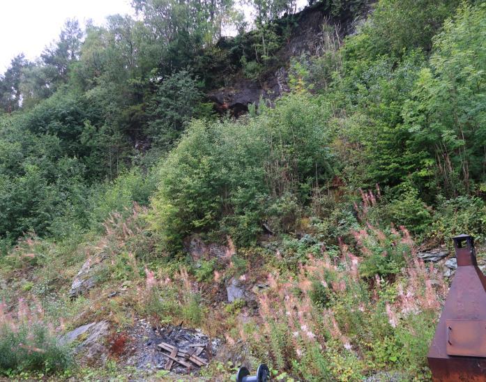 Farekartlegging av aktuelle skredtyper 4.2.1 Steinsprang Bergarten i blotningene som ble observert i skråningene er bergmekanisk sett nokså svake, og pga.