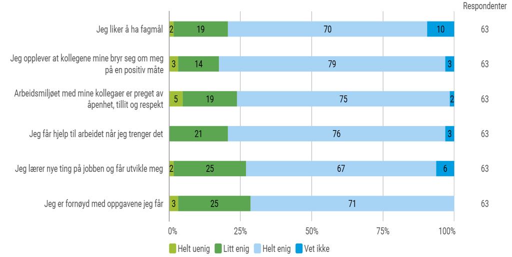 Kommentarer som kom frem i undersøkelsen: Jeg synes det er greit på ivekst. Jeg synes det burde være flere nye jobber. Det å lære seg nye ting. Det å være mer ute. Fagmål er vanskelig.