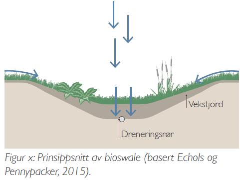 Bioswale og regnbed to viktige naturbaserte overvannsløsninger Hovedfokus i perioden 2018-2020 vil være å utvikle forskning på lokal overvannsdisponering, blå-grønne strukturer.