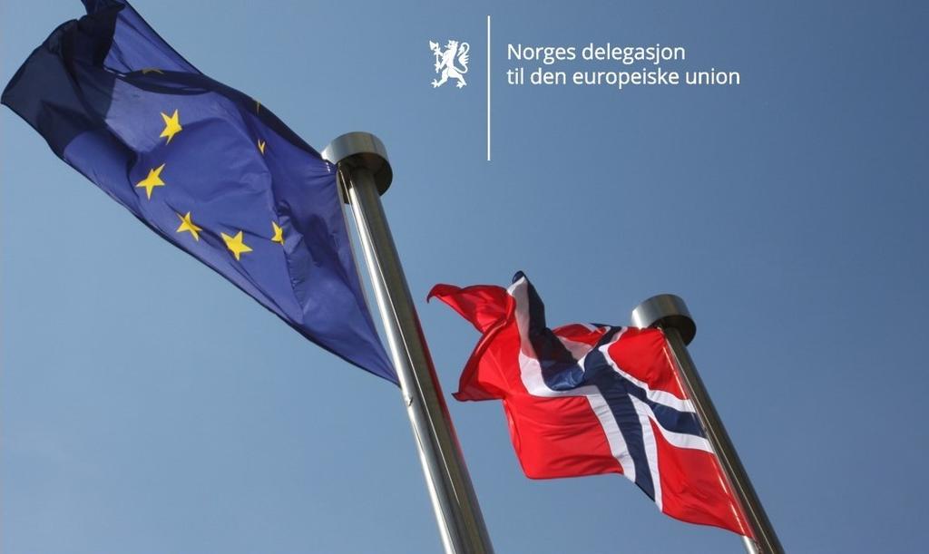 ØKONOMINYTT NR. 10, DESEMBER 2018 Nyhetsbrev fra finansrådene ved Norges delegasjon til EU Sammendrag Nr.
