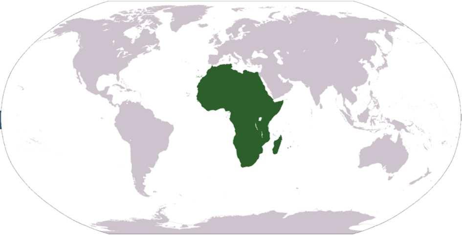 Afrika-saken - Barn på tre år dør - Familie fra Afrika - Foreldres forklaring er fall fra seng - To søsken kan ha vært øyenvitner / eneste vitner /