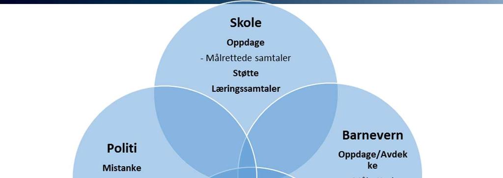 Å oppdage og avdekke - Et tverrfaglig