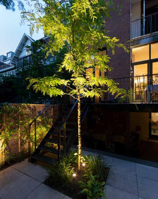 SCOPE SCOPE er det riktige spotlyset til belysning av trær med en høyde inntil ca. 5 m og smal krone.