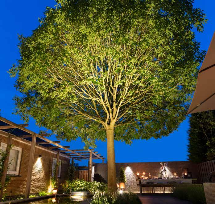 THE BOOK OF IN-LITE BIG SCOPE BIG SCOPE kan brukes til belysning av trær med en høyde inntil ca. 6 m og bred krone.