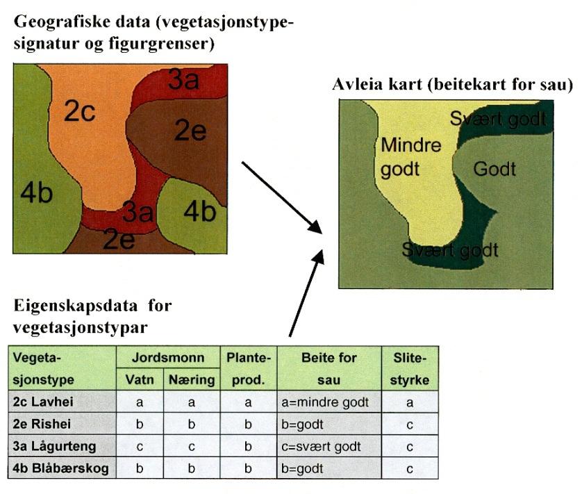 2.4 Bruk av vegetasjonskart Temakart: Informasjonen som ligger i vegetasjonskartet kan være tungt tilgjengelig uten botanisk og økologisk kunnskap.