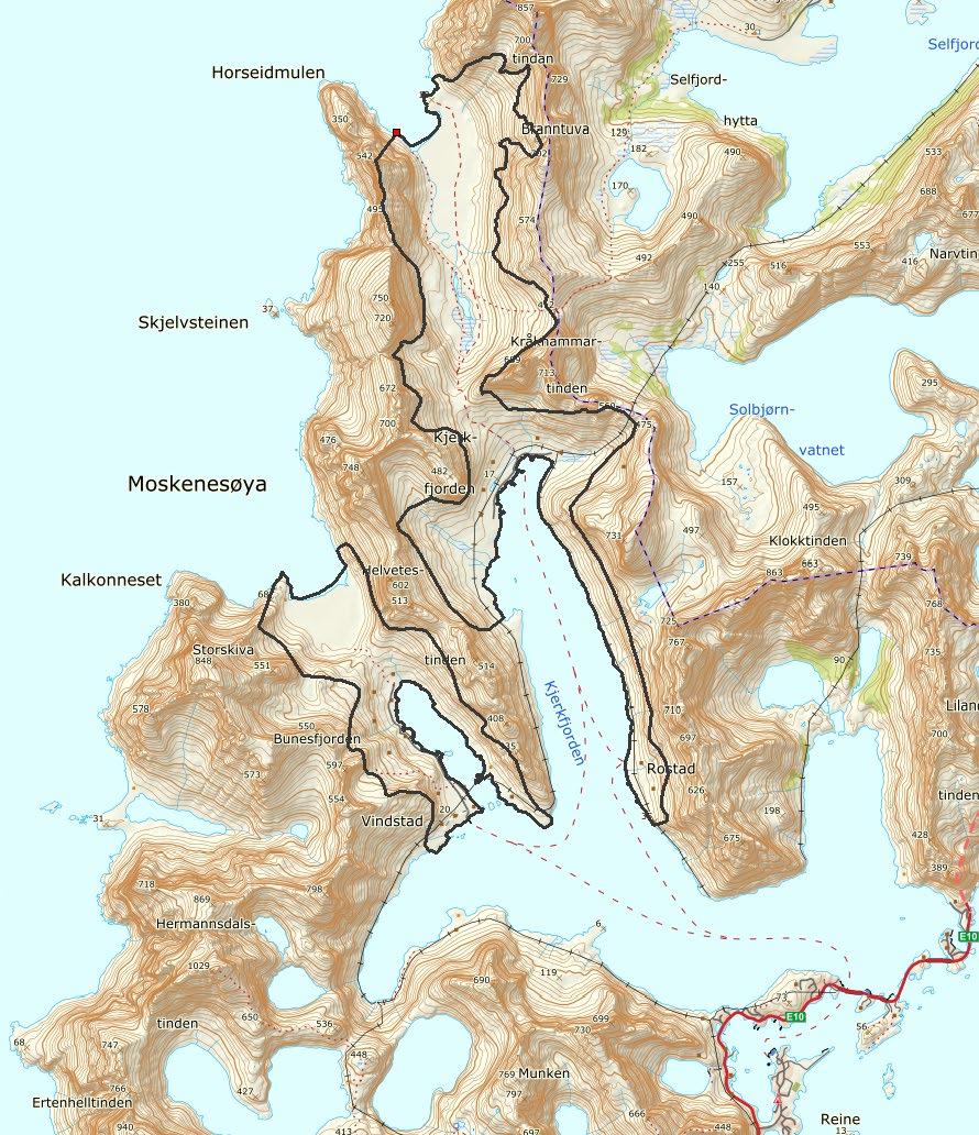 3 BESKRIVELSE AV KARTLEGGINGSOMRÅDET 3.1 Områdeavgrensning Kartleggingsområdet er til sammen 11,3 km 2. Området Bunesfjorden-Buneset utgjør 3,2 km 2, mens området Kjerkfjorden-Horseid er 8,1 km 2.
