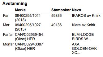 Kalv Hereford Ørenummer/navn: 09400295/1703