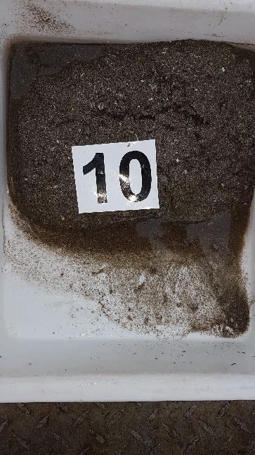 Figur B- 10 Bilder som viser sedimentet