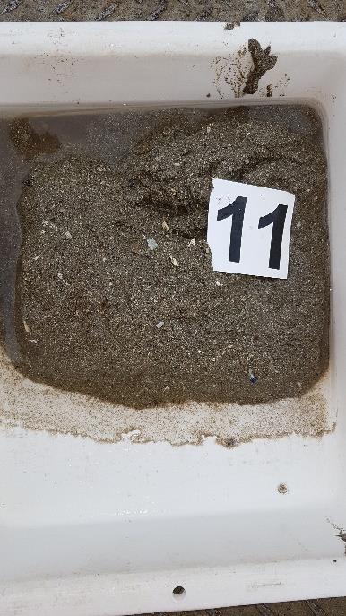 Figur B- 12 Bilder som viser sedimentet