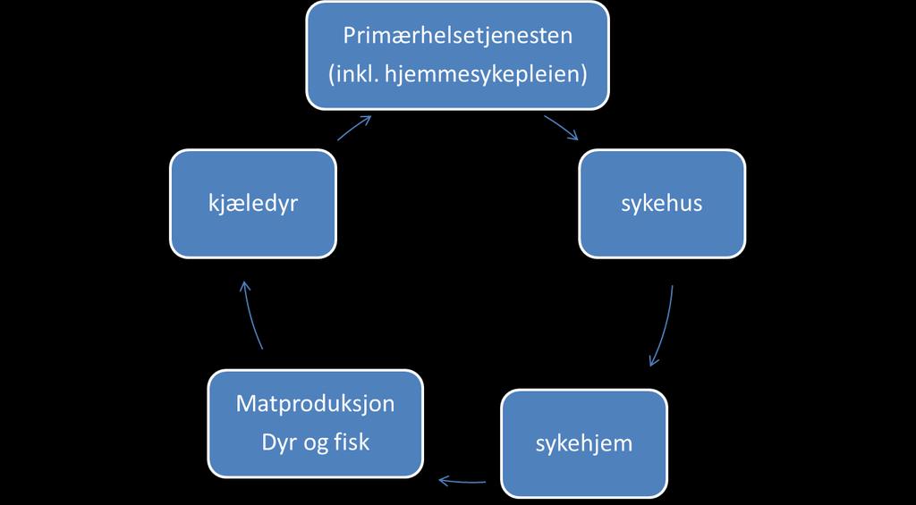 Hvor brukes antibiotika hva kan vi