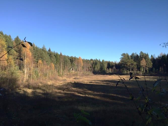 Området rundt dammen er et viktig friluftslivs-/nærturområde for mange mennesker, både sommer og vinter. Haddelandsdammen fungerer som utgangspunkt for turer innover Strømsåsen (9), og benyttes bl. a.