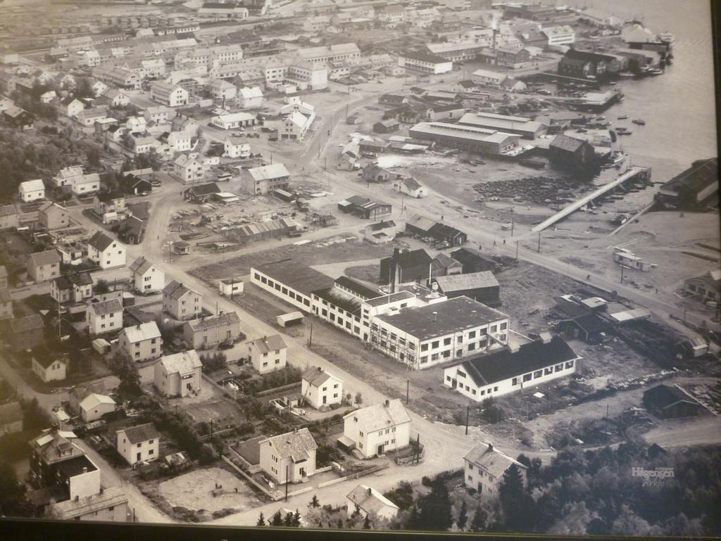 Figur 4 Flyfoto over området fra 1958. Omtrentlig plassering av det undersøkte område er ringet inn.