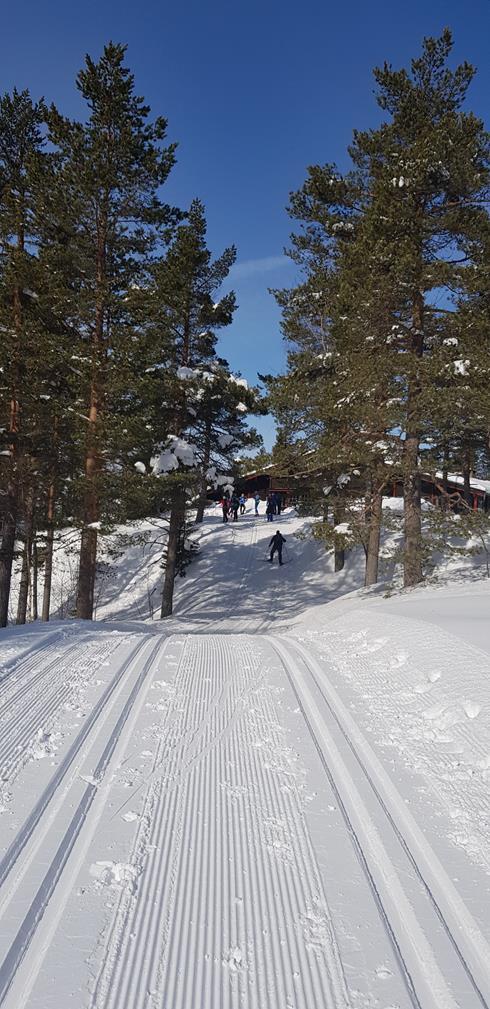 Bredden på skiløypene i Drammen Kommunen bruker standard rammeavtale anbefalt av Turistforeningen, Skiforeningen og grunneierorganisasjonene for tilrettelegging og merking av skiløyper De fleste av