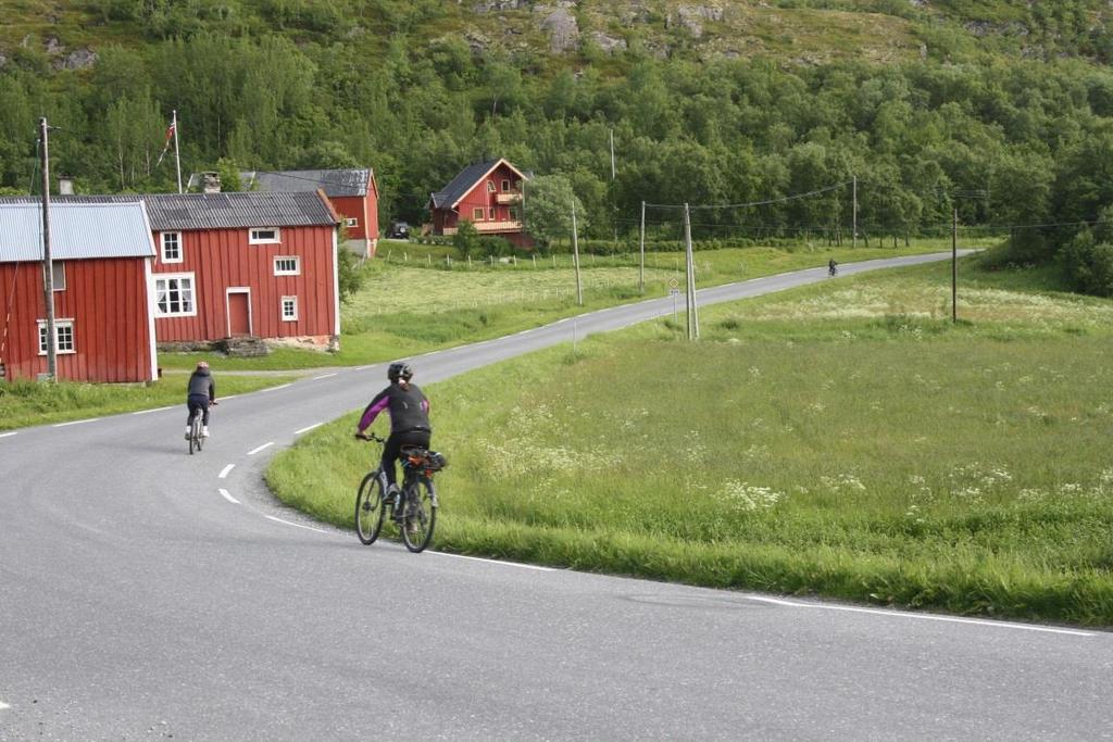 Foto: Gunn Emilsen Fallvilt Ulykker som skyldes sammenstøt mellom hjortevilt og vegtrafikk utgjør en betydelig andel av trafikkulykkene i Dønna.
