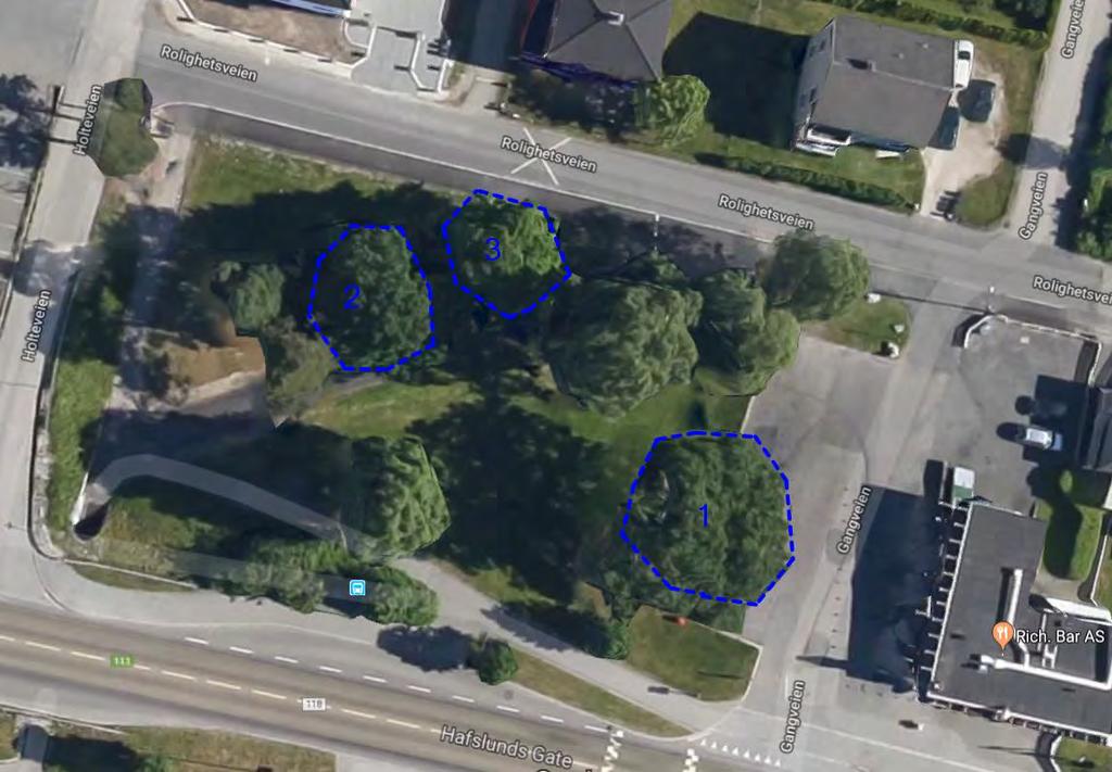 2 3 1 Figur 6-18: Parken ved Rich. Bar og plassering av tre store eiker. Inntegnet blått omriss angir ca.