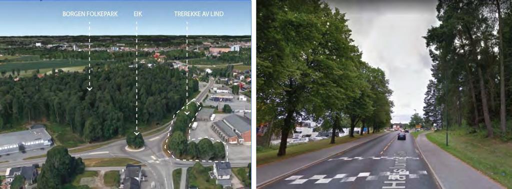 Figur 8-7: Oversiktsbilde av delområde LB03 Hafslunds gate langs Borgen folkepark, sett fra øst mot vest. Borgen folkepark fremstår som en grønn vegg (kilde: Google Earth). 8.4.