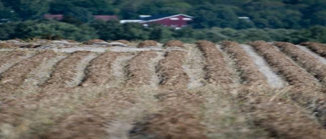 OPPFØLGING Jordloven 19: «Kommunen og fylkesmannen fører tilsyn med at føresegnene i 8 til 12 vert haldne» Foto: Colorbox Tilsynsplikten avhenger av om eier driver selv