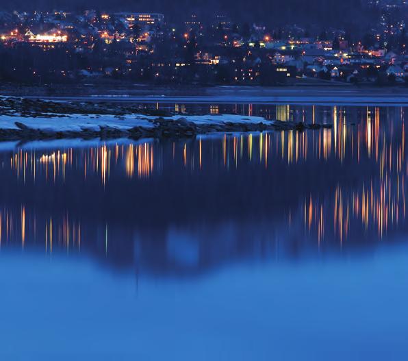 GJØVIK SKAL BLI MER BY et urbant og attraktivt regionsenter ved Mjøsa 1. Styrke by- og bydelssentre. 2.