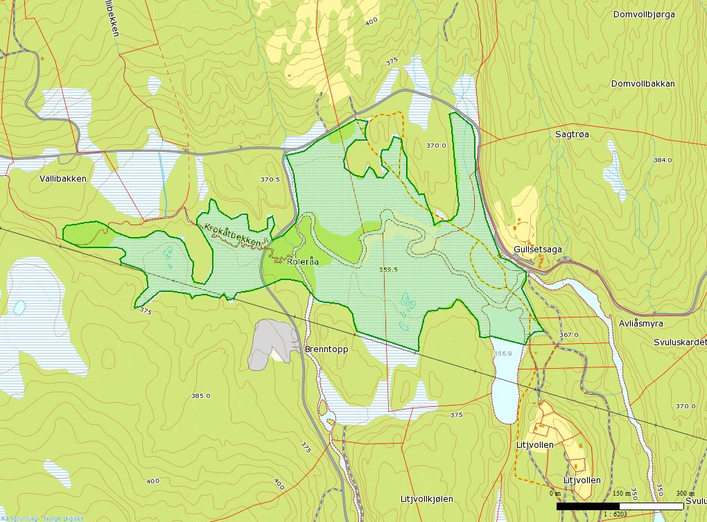 Figur 2.2: Det grønnmarkerte arealet er fra før avmerket som viktig for biologisk mangfold Direktoratet for naturforvaltning, Naturbasen). Dammen ligger i rød ellipse. 2.2.3 Arter Det er fra tidligere få dokumenterte artsobservasjoner i prosjektområdet.