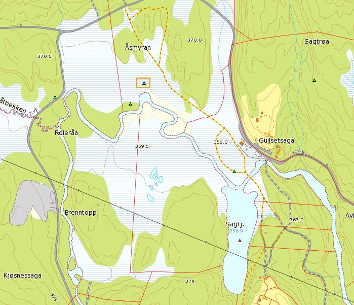 Skogvikke Istervier Gulstarr Figur 2.3: Tidligere artsobservasjoner i prosjektområdet. Karplanter registrert under eget feltarbeid er listet i tabell 2.1. Tabell 2.