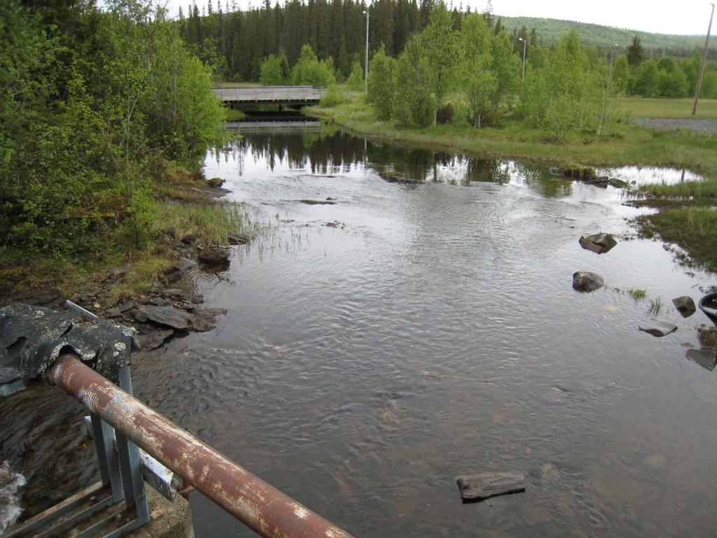 Bilde 4.1: Elvestrekningen mellom dammen og den naturlige terskelen i elveløpet. Naturlig terskel er angitt med hvit pil.