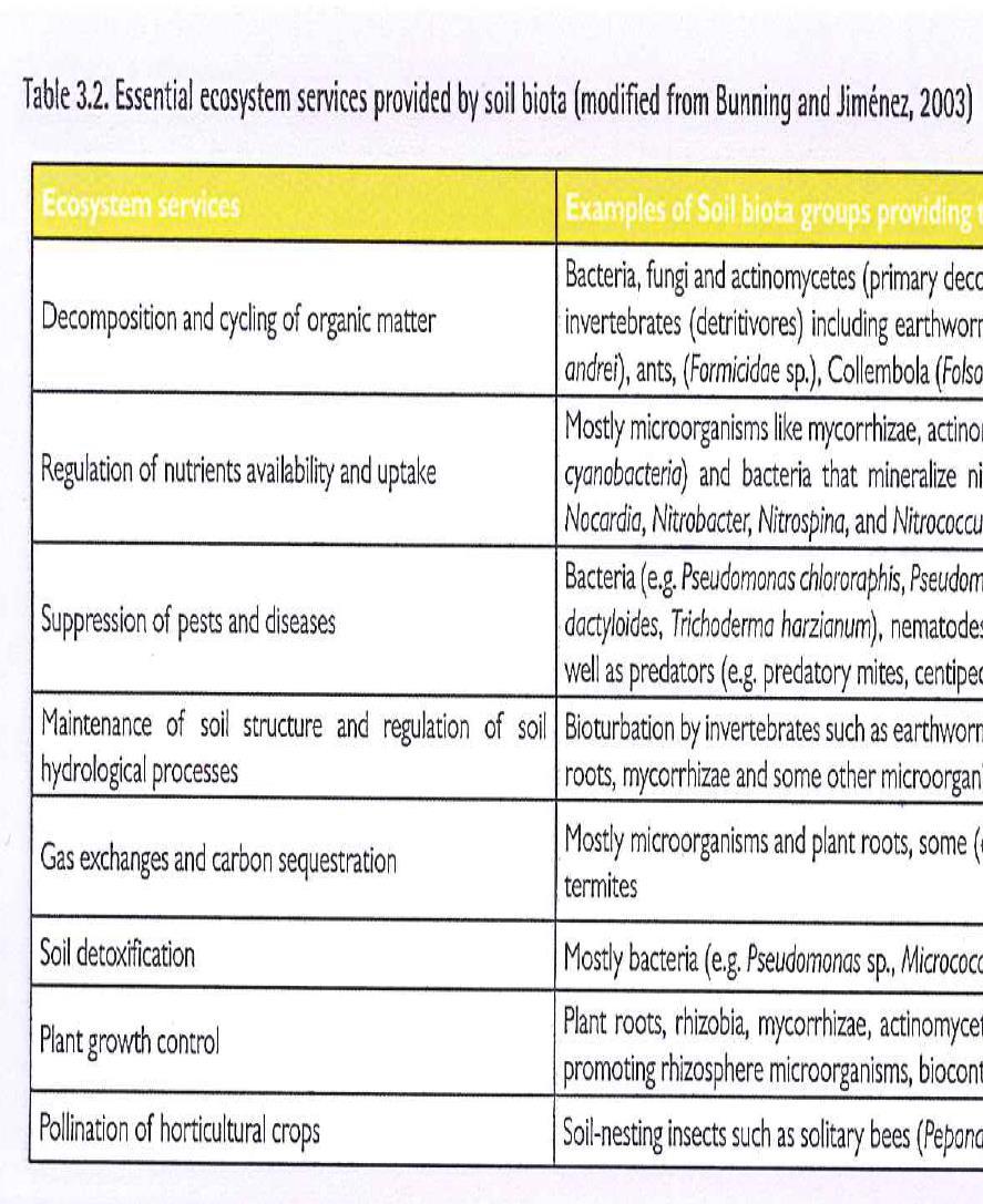 European Atlas Soil Biodiversity,