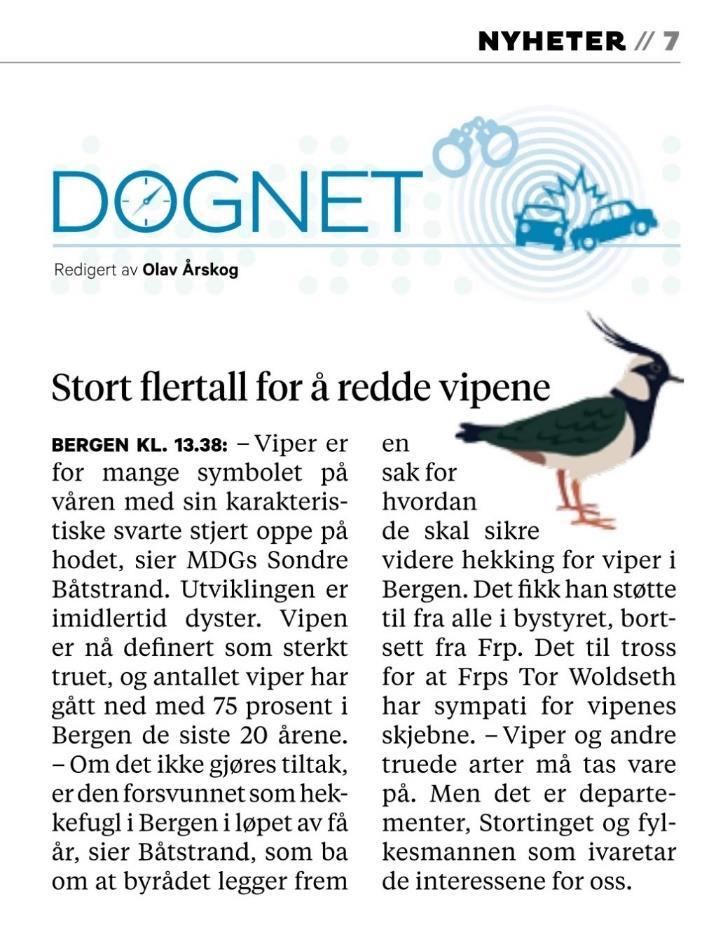 Stort flertall for å redde vipene i Bergen bystyre Miljøpartiet De Grønne la fram en sak for Bergen bystyre 23.10.18 for hvordan det skal sikres videre hekking for viper i Bergen.