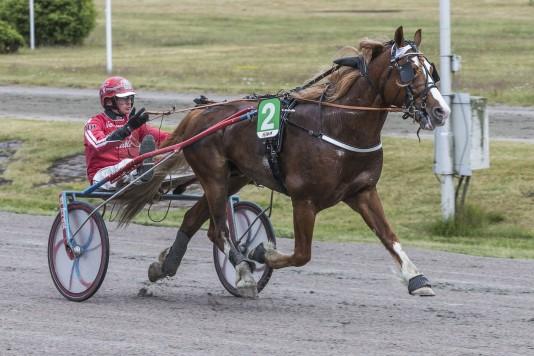 7,9a Eier: ristine Sørensen og Enok Antonsen Trener: ristine Sørensen