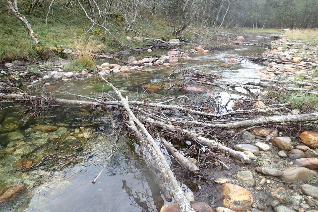 Habitatkvalitet vs.