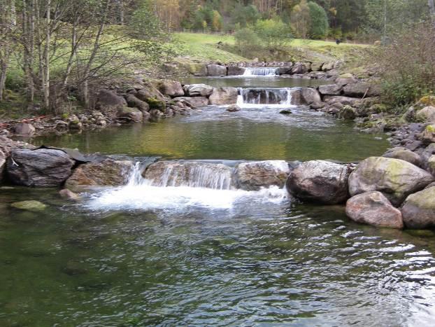 2 Redusert habitatkvalitet Oppdemning,