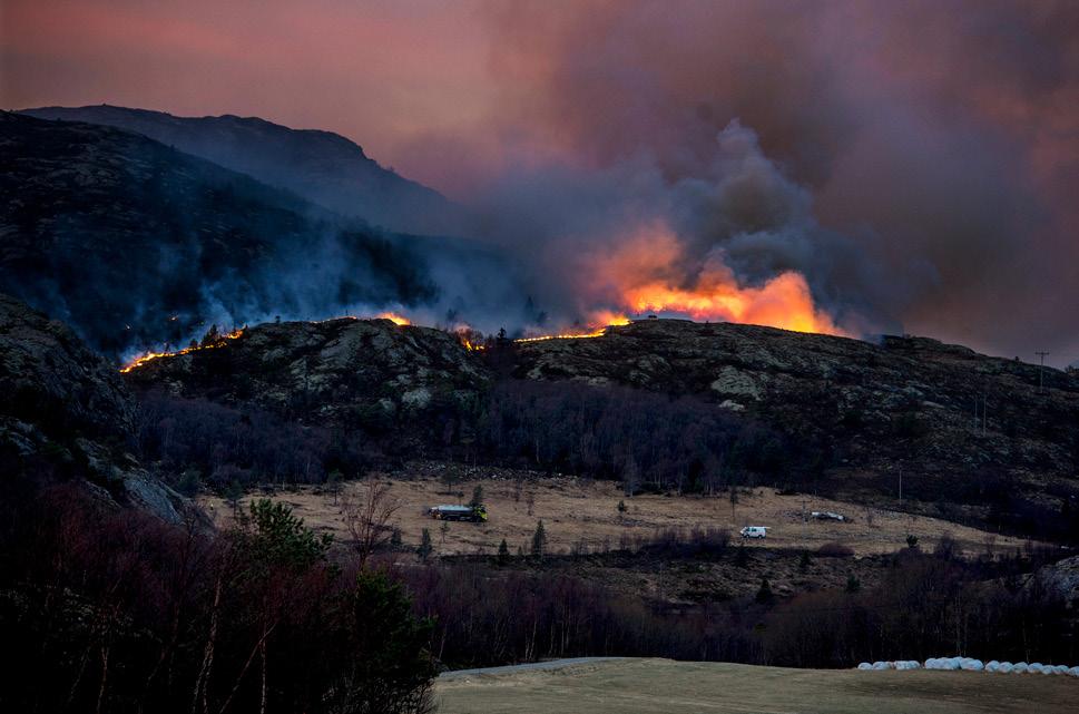 Det viktigste kommunepolitikerne kan gjøre er å sikre den matproduksjonen vi har i Norge, selv om det kanskje vil være mer økonomisk lønnsomt å bruke arealene til noe annet enn mat, sier klimaforsker