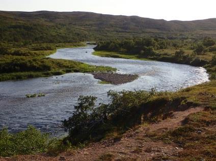 limitert Gode gyteforhold for laksefisk Lite skjul i elvebunn Erosjonsfare Elveløp kan endres ved flom