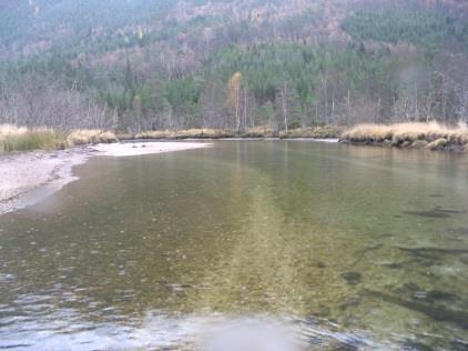 Finsediment type Typisk gradient: < 0,001-0,005 Dominerende substrat: fingrus (< 0,8 cm), sand eller finere Typisk kulplengde 5-7 ganger elvebredde Hydromorfologi Flomfare Tiltak Dynamisk sediment