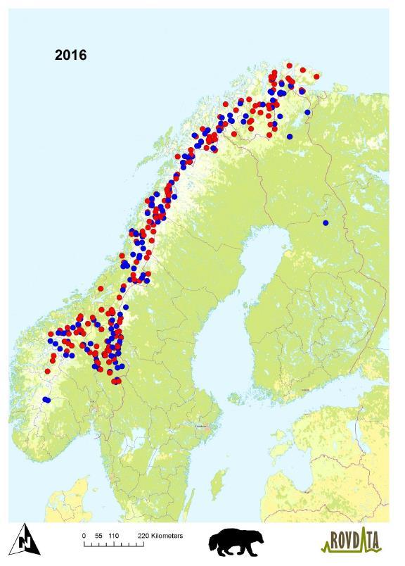 Jerv påvist ved DNA-analyser i Nordland NINA Rapport 1306 DNA-basert overvåking av den norske jervebestanden 2016 viser at det ble påvist 77 ulike jerver i Nordland vinteren 2015/2016.